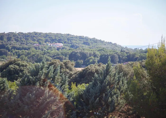 Apartments And Room Agata